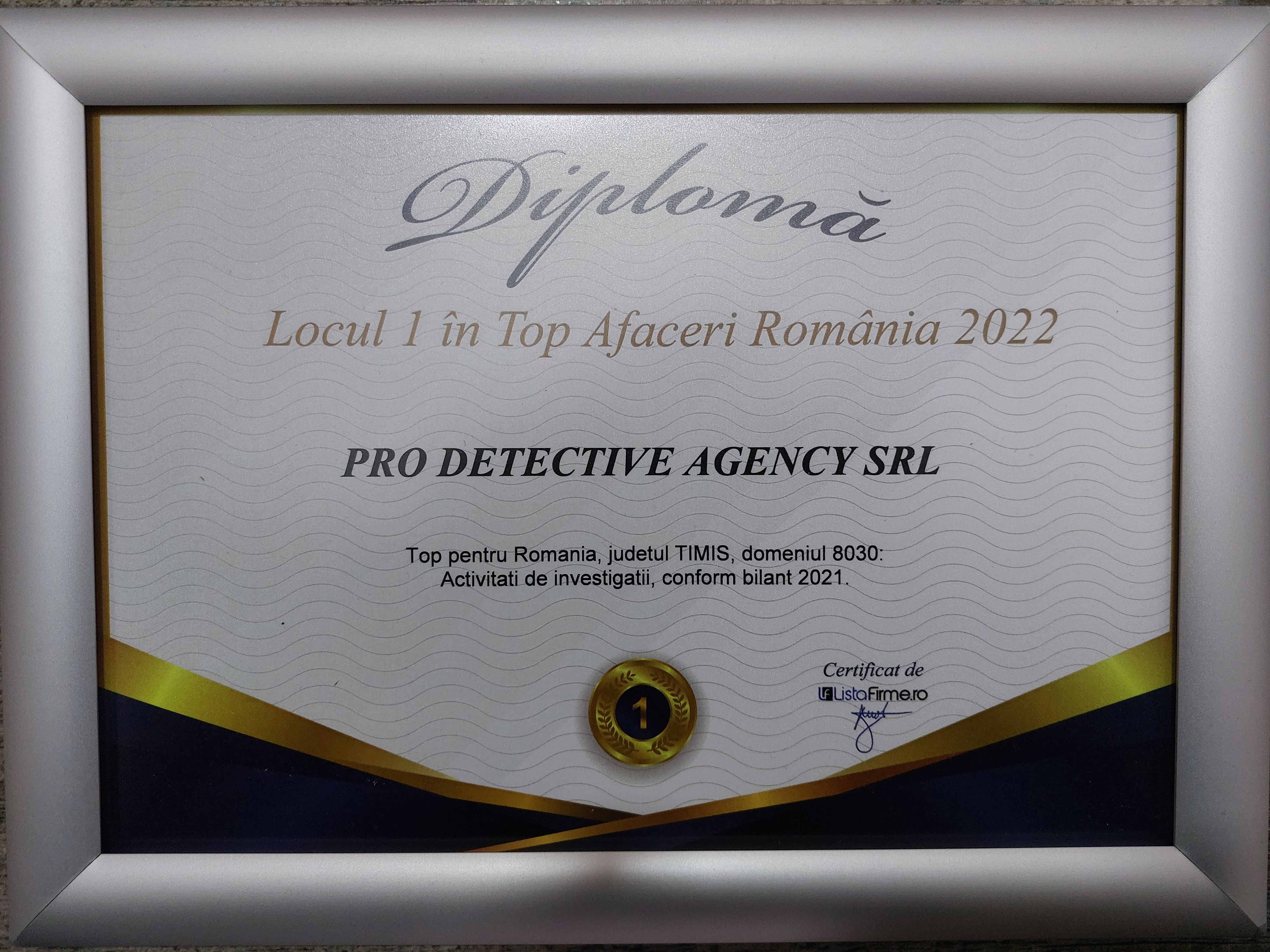 pro detective agency timisoara,mircea banescu detectiv particular 